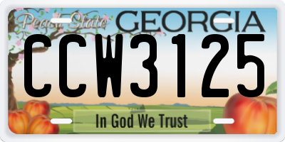 GA license plate CCW3125