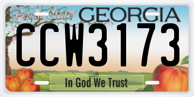 GA license plate CCW3173