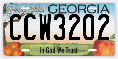GA license plate CCW3202