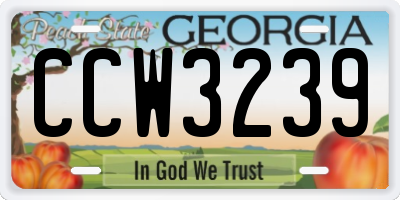 GA license plate CCW3239