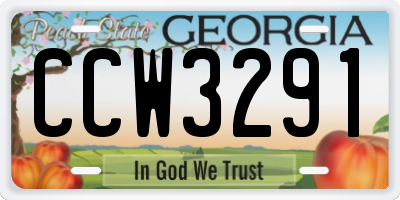 GA license plate CCW3291