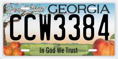 GA license plate CCW3384