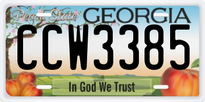 GA license plate CCW3385