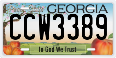 GA license plate CCW3389