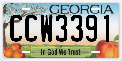 GA license plate CCW3391