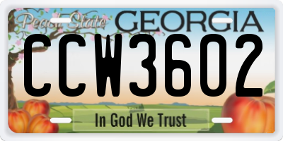 GA license plate CCW3602