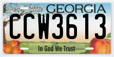 GA license plate CCW3613