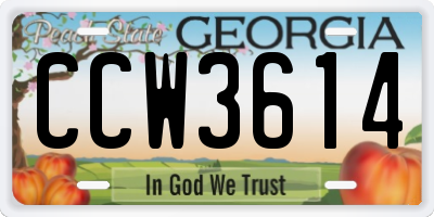 GA license plate CCW3614