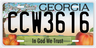 GA license plate CCW3616