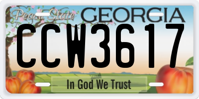 GA license plate CCW3617