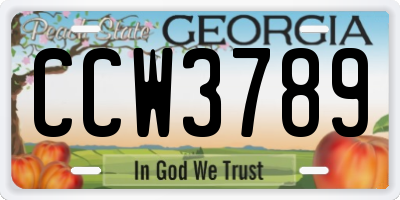 GA license plate CCW3789