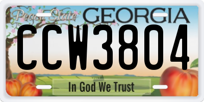 GA license plate CCW3804