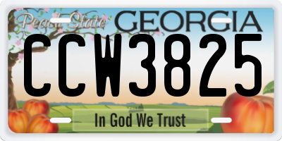 GA license plate CCW3825