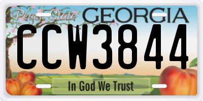 GA license plate CCW3844
