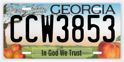 GA license plate CCW3853