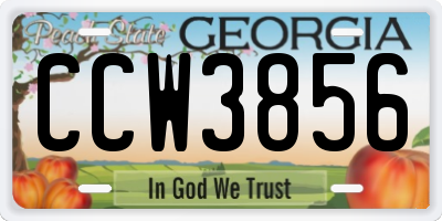 GA license plate CCW3856