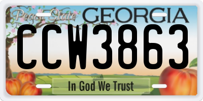 GA license plate CCW3863