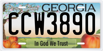 GA license plate CCW3890