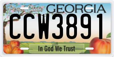 GA license plate CCW3891