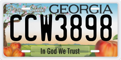 GA license plate CCW3898