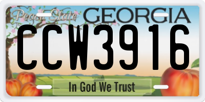 GA license plate CCW3916