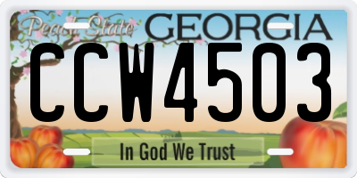 GA license plate CCW4503