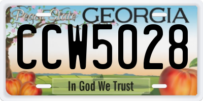 GA license plate CCW5028