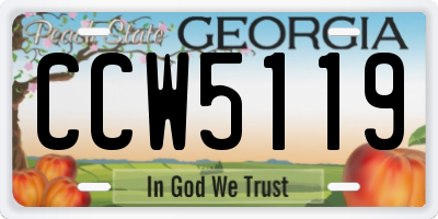 GA license plate CCW5119