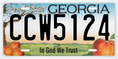 GA license plate CCW5124