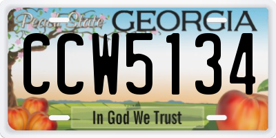 GA license plate CCW5134