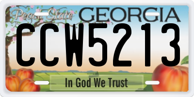 GA license plate CCW5213