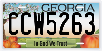 GA license plate CCW5263