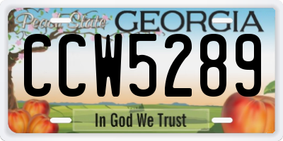 GA license plate CCW5289