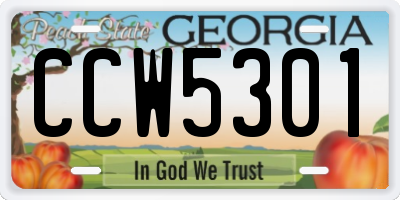 GA license plate CCW5301