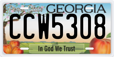 GA license plate CCW5308