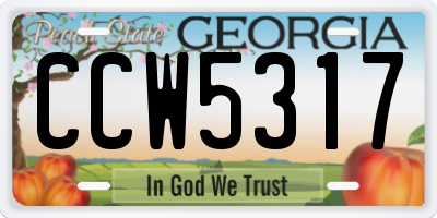 GA license plate CCW5317