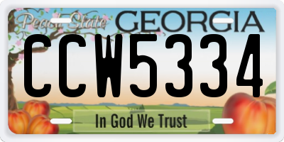 GA license plate CCW5334