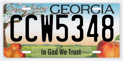 GA license plate CCW5348