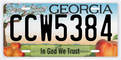 GA license plate CCW5384