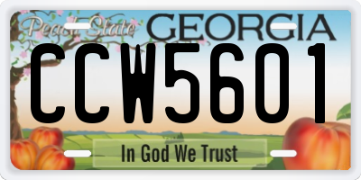 GA license plate CCW5601