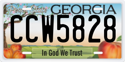 GA license plate CCW5828