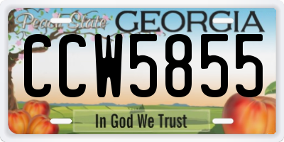 GA license plate CCW5855