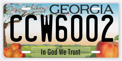 GA license plate CCW6002