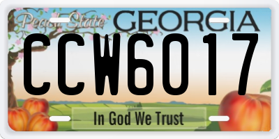 GA license plate CCW6017