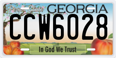 GA license plate CCW6028