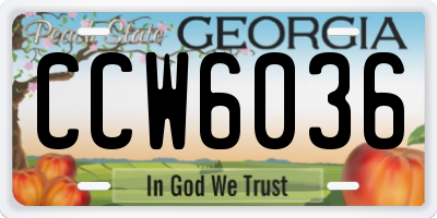 GA license plate CCW6036