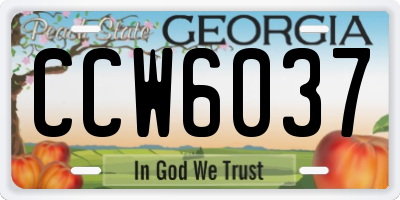 GA license plate CCW6037