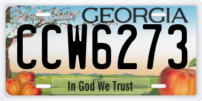 GA license plate CCW6273