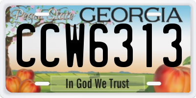 GA license plate CCW6313