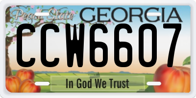 GA license plate CCW6607